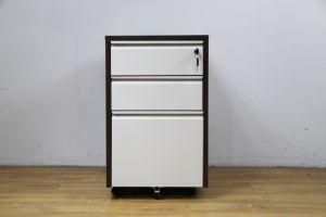 Locking Dust-Proof Storage Cabinet, Magnificent Design
