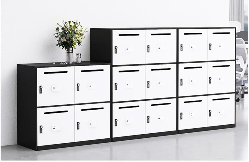 Mail Storage / Sorting Cabinet with 6 Compartments