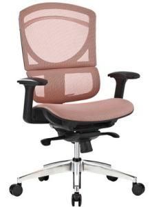 Hot Competitive Ergo Chair Mesh Office Chair