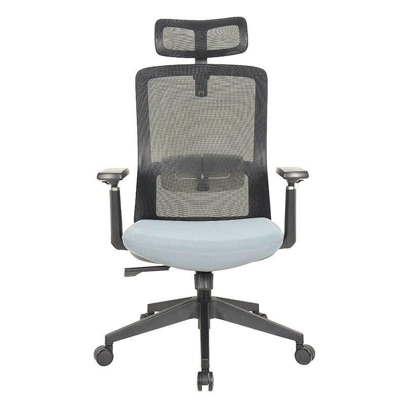 Lisung 10129 Factory Price Swivel Manager Executive Ergonomic Mesh Chair