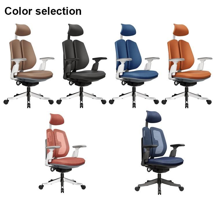 Double Back Ergonomic Chair Special Design BIFMA
