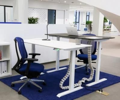 Adjustable Desk Standing Desk Student Study Desk Adjustable Desk Office Desk