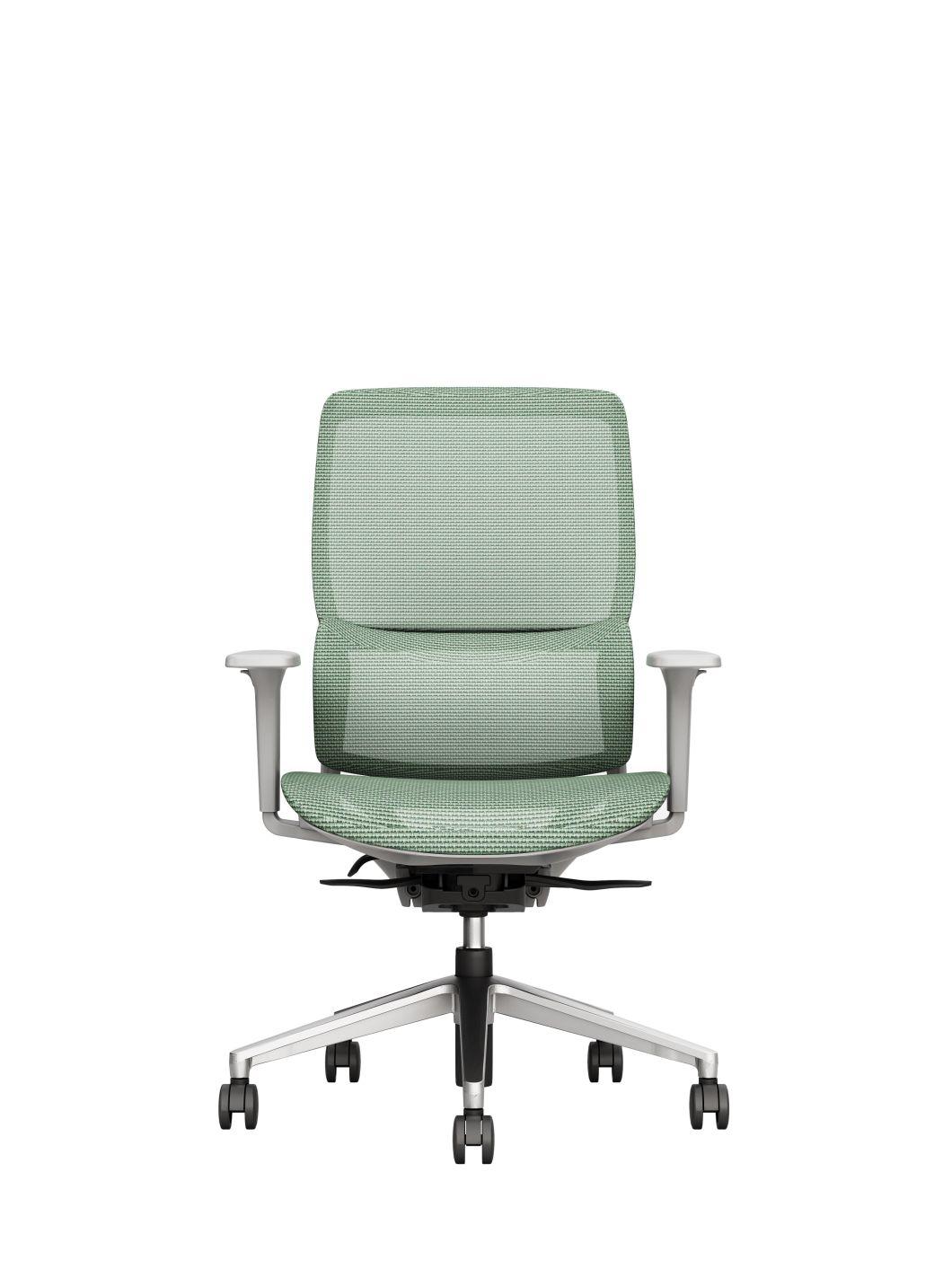 Swing Back New Design Ergonomic Chair Office Use