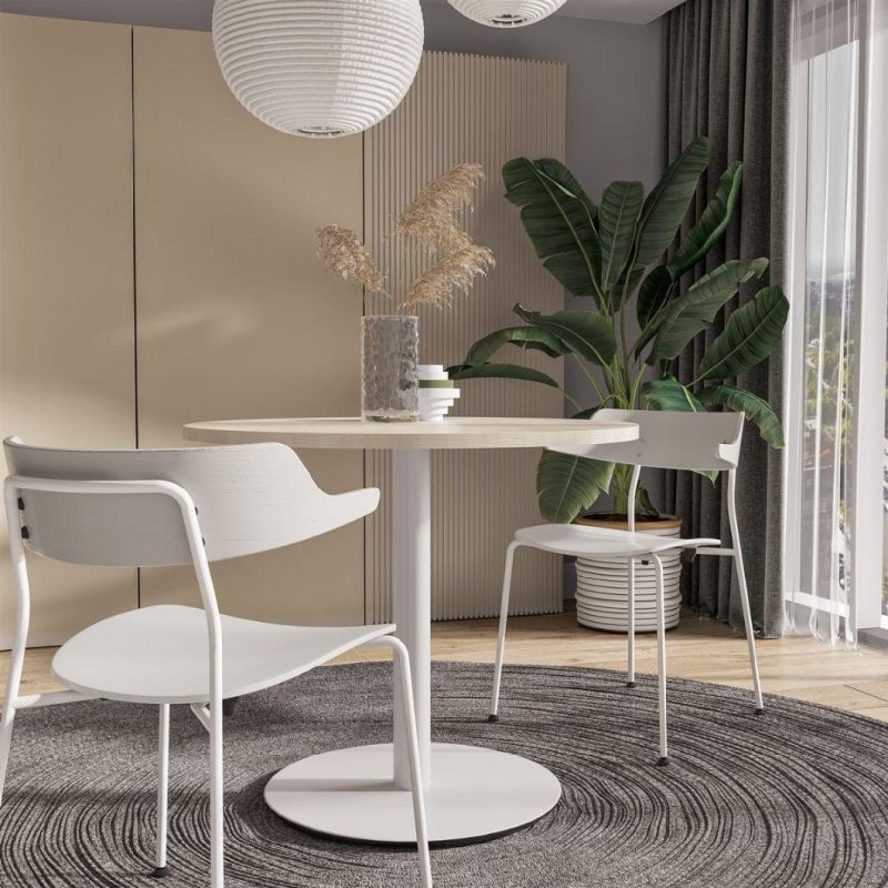Scndinavian White Office Furniture Wood Steel Chairs