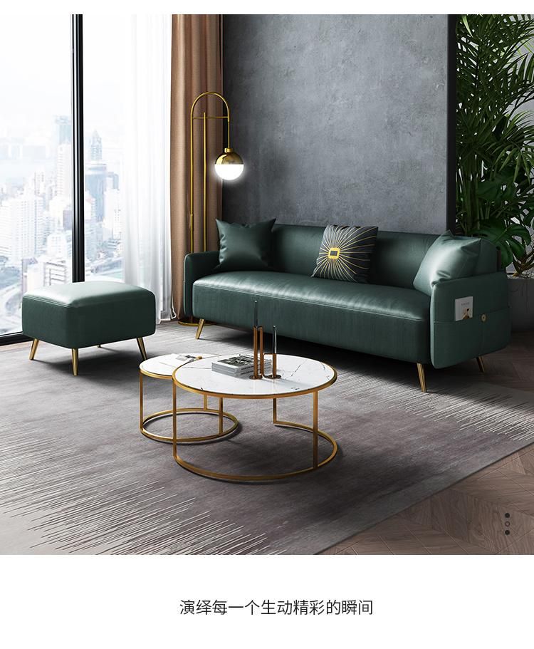 160 H 75 W 76 H Gold Steel Backing Sofa Leg Refined Business Sofa Set with Slender Arm