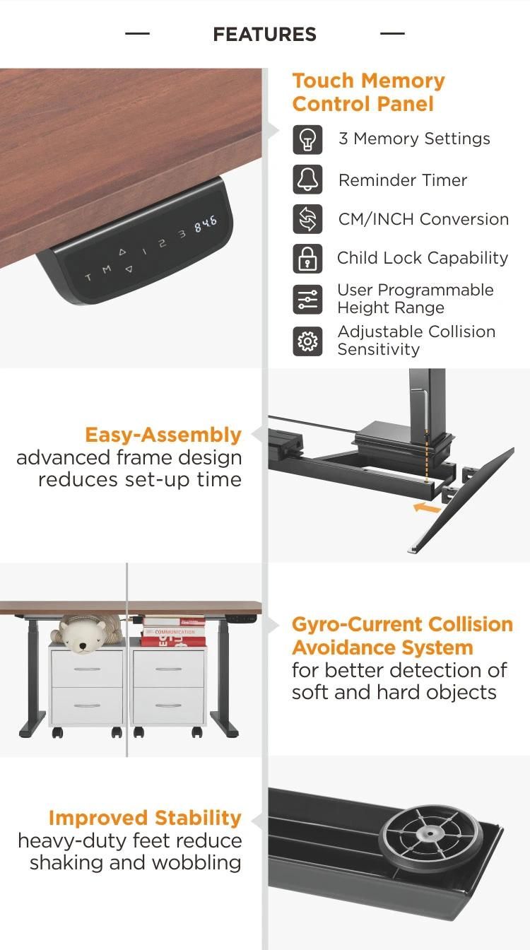 Customizable Office Ergonomic Dual Motors Electric Adjustable Standing up Desk