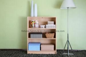 Modern Wooden Birch Veneer Clear Lacquer Bookcase (AD-FY-N707-SJ)