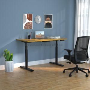 Aoke Dual Motor Home Furniture Height Adjustable Computer Table Standing Desks