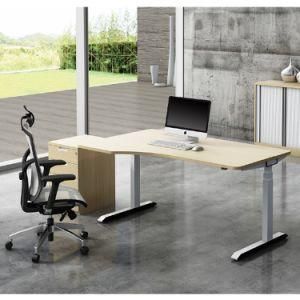 Ergonomic Dual Motors Height Adjustable Office Furniture Sit Standing Desk