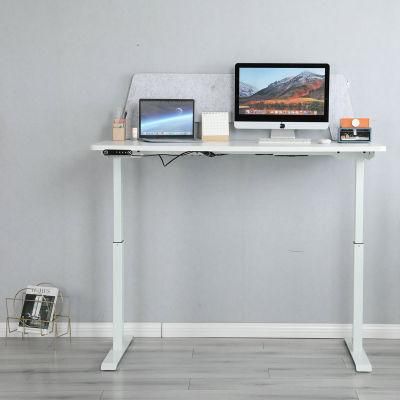 2022 Latest Two Motors Electric Customized Standing Sitting Desk