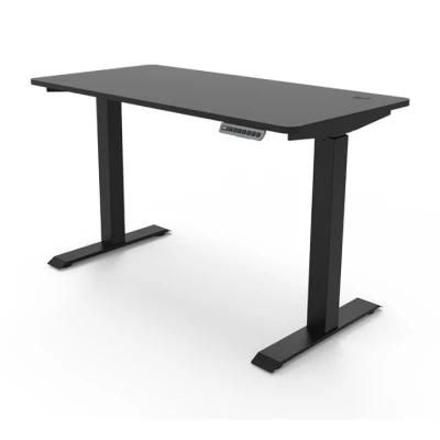 Modern Office Desk Electric Smart Sit Stand Height Adjustable Computer Standing Desk
