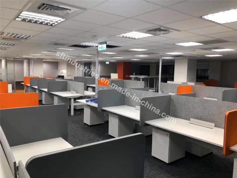 Ergonomic Dual Motors Electric Adjustable Height Desks