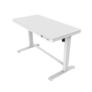 Loctek Et118we-N Height Adjustable Desk for Home Use