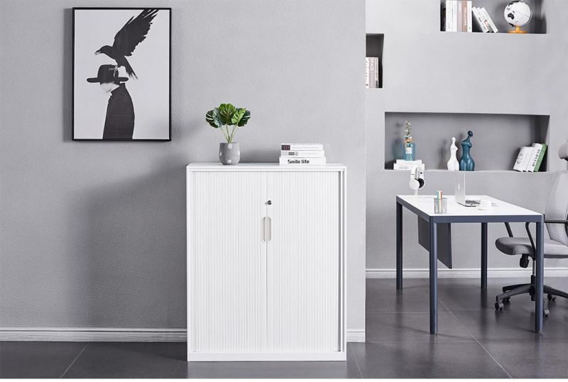Small Tambour Door Office Cabinet File Storage