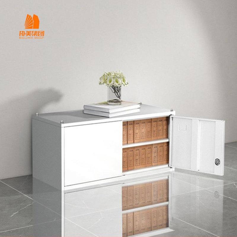 High Quality Metal Furniture 2 Door File Storage, Filing Cabinet