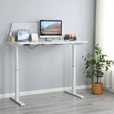 Ergonomic Office Furniture Electric Dual Motor Sit Stand Adjustable Standing Desk