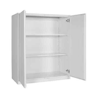 Commercial Furniture Knock Down Iron 2 Door Steel Locker Steel Half Height Cupboard