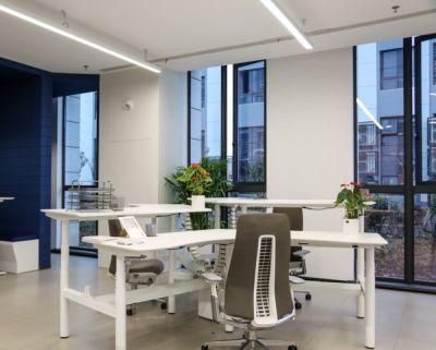 Double Motor Electric Furniture Height Adjustable Computer Sit Office Table Leg Standing Desk