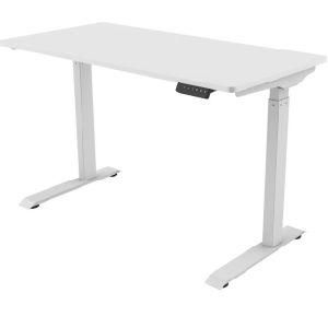 Economical Sit-Stand Single Motor Electric Height Adjustable Full Desk Furniture