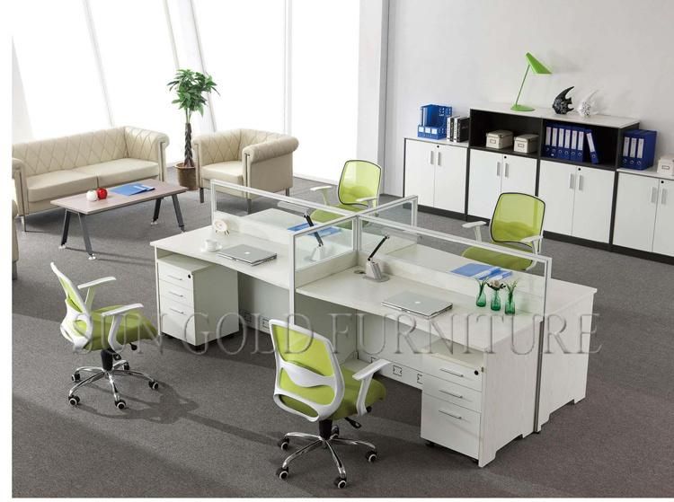 China Office Furniture 2 Person Office Workstation with Partition Wall (SZ-WS813)