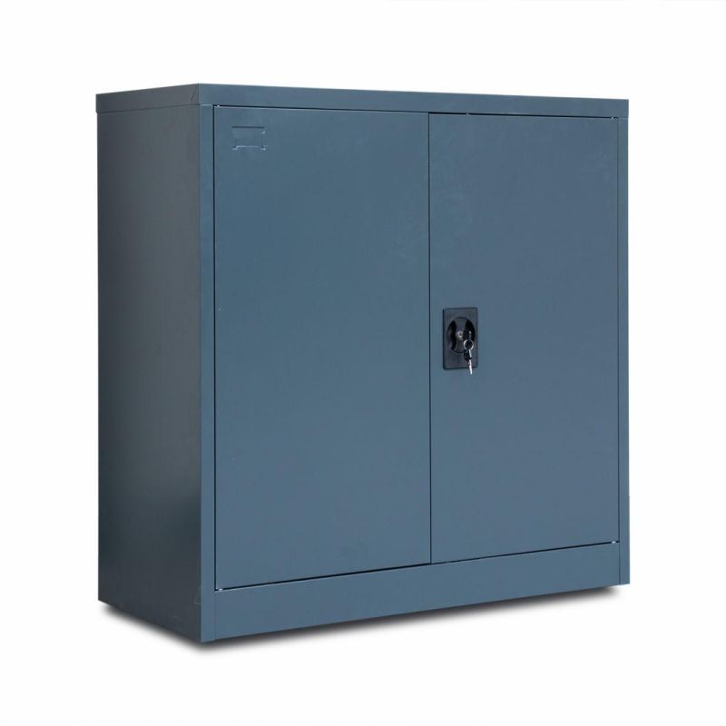 Office Furniture Mini Steel Cabinet Design for Storage