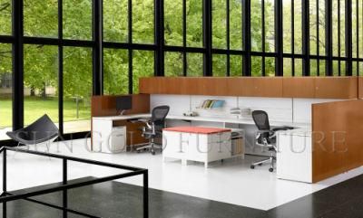 Modern Office Furniture New Design Elegent Workstation (SZ-WS166)