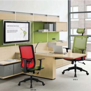 Modern Furniture Adjustable Mesh Office Executive Computer Chair (819-1)