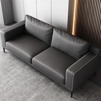 Linear Structure Border Dark Grey Euro Upholstered Sofa with Carbon Steel Leg