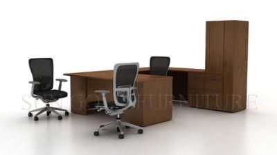 Contemporary Executive Desk Modern Private Office (SZ-OD194)