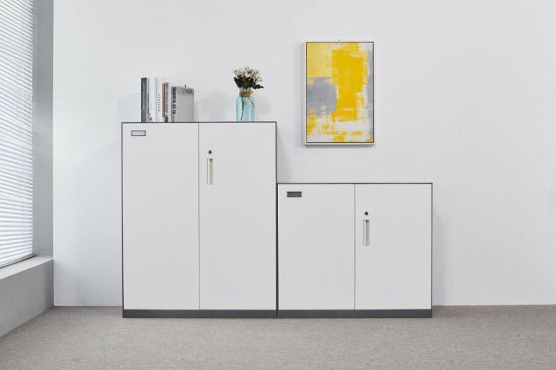 Modern Style Strong Metal Steel Storage Cabinet Wholesale Furniture