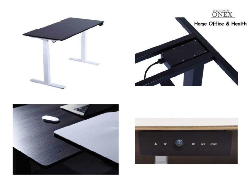 Height Adjustable Desk Two Legs Heavy Loading