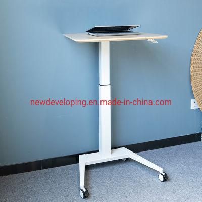 Designer Office Home Simple Computer Writing Table