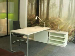 Glass Door and Cabinet Office Desk