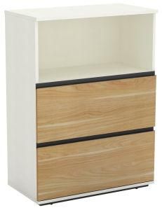 Office Furniture 2 Drawers Wooden Office Filling Cabinet