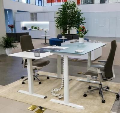 Office Work Executive Computer Laptop Height Adjustable Standing Desk