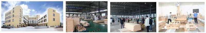 (MN-TC105) Chinese Factory Cheap Price Plastic Furniture Stactable Meeting/Dining/Waiting/Training Chair