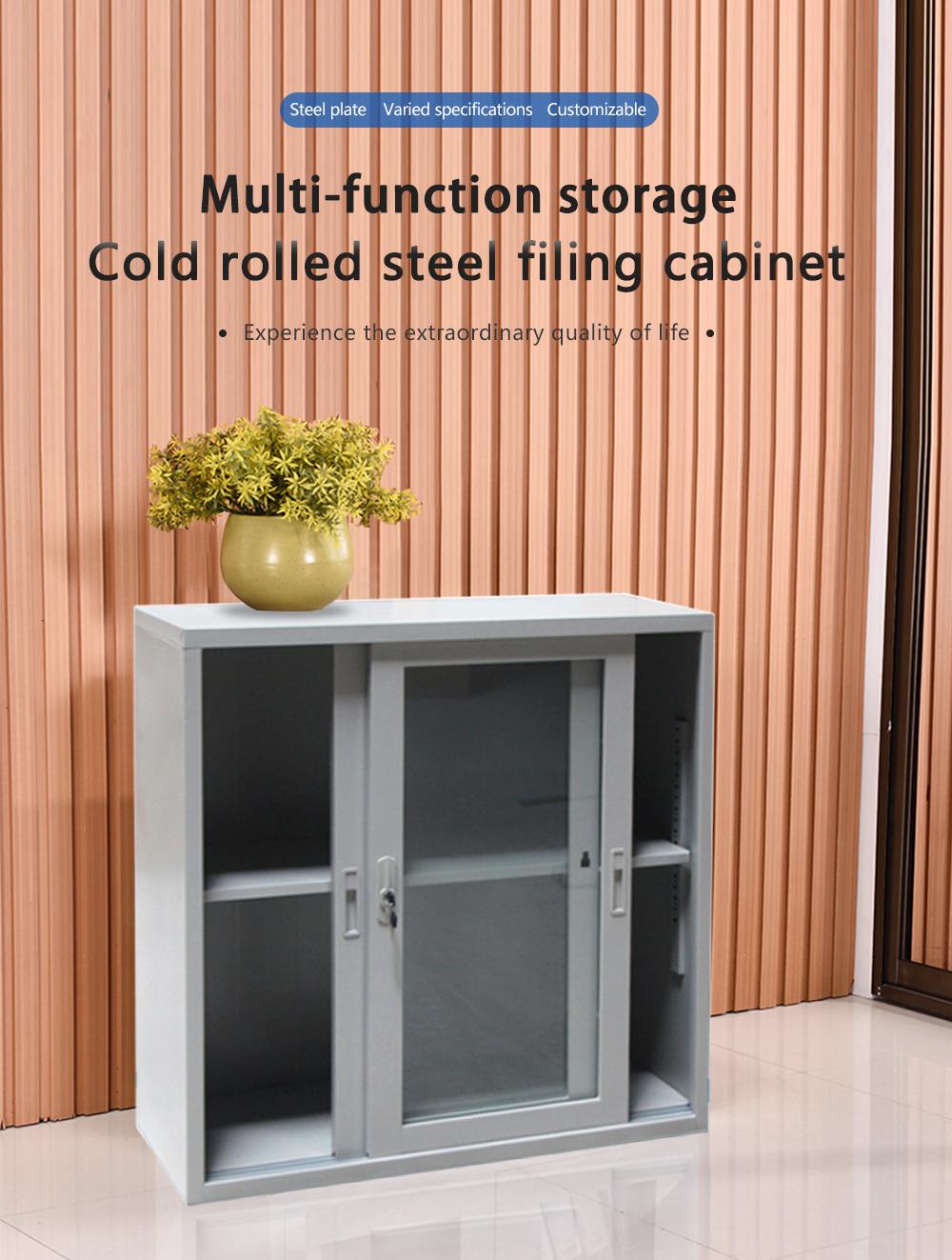 2 Door Steel Storage Cabinet Steel Sliding Door Filing Cabinet Storage Filing Cabinet