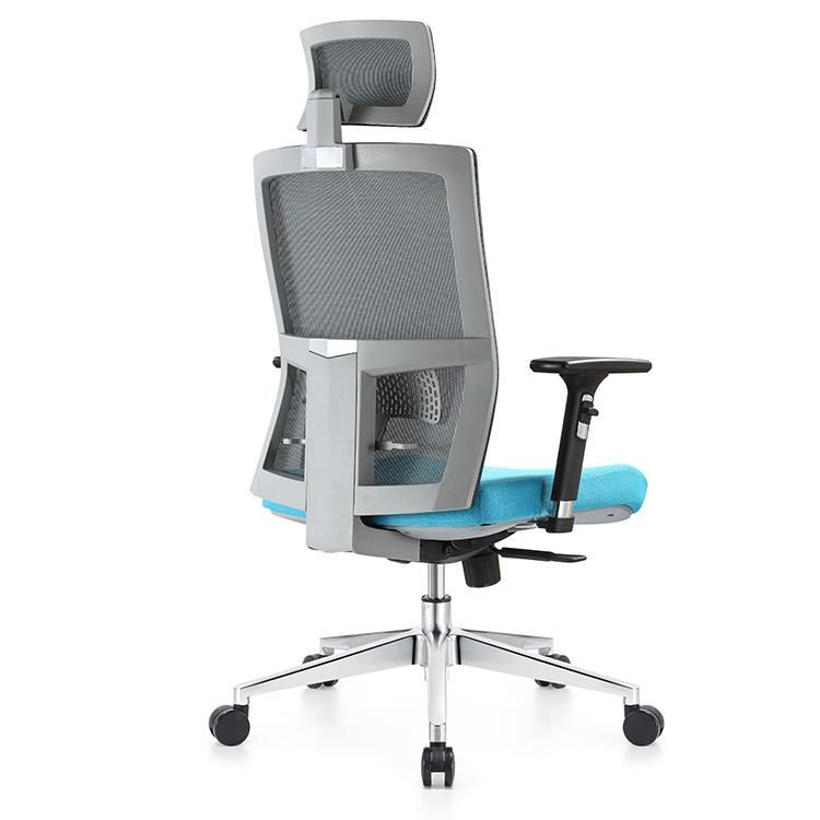 Ergonomic Executive Computer Office Chair with Adjustable Back