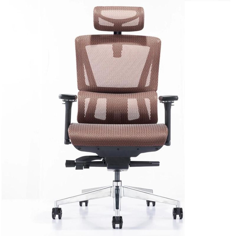 Expensive Office Chair for Boss or CEO Office Room