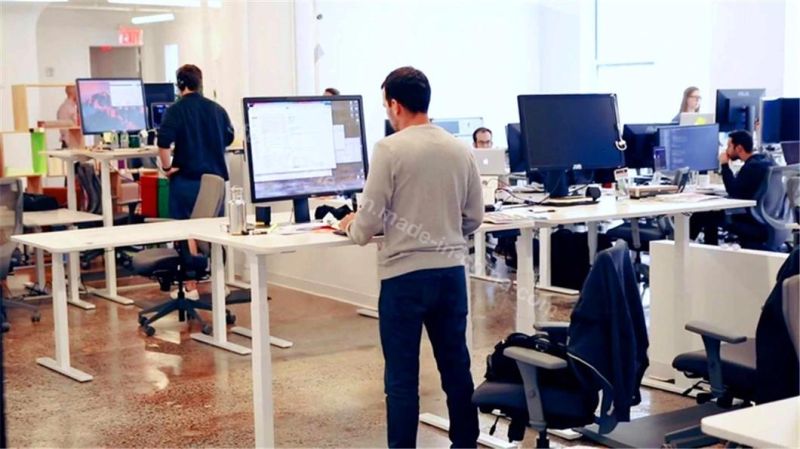 Electric Dual Motor Height Adjustable Sit Standing Desk Frame