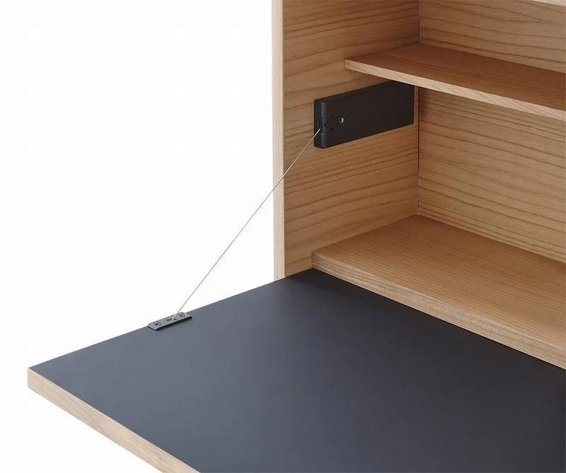 Saving Space, Simple Wood Computer Desk with Door for Home