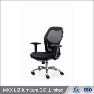 Economical Price Office Furniture Middle Back Mesh Work Chair (096B-1)