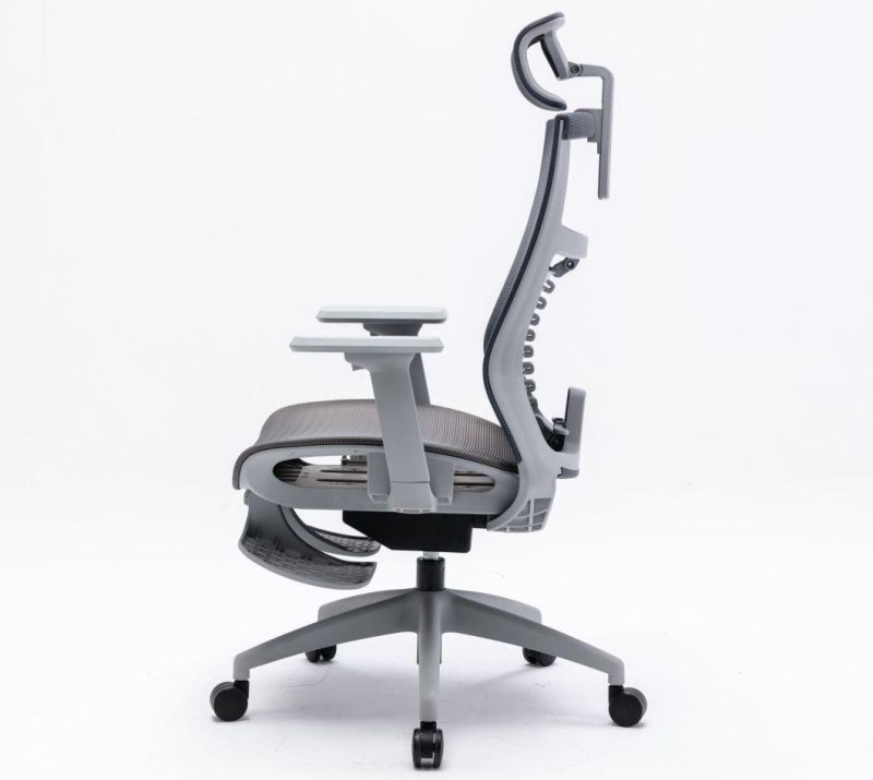 Li&Sung 10275 Ergonomic Executive Computer Swivel Chair