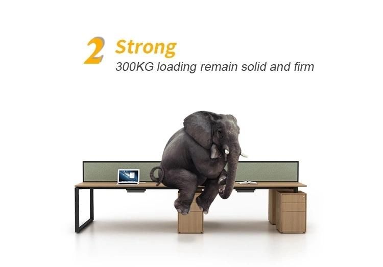 Commercial Furniture 2 Person Office Desk Double Office Table with Cabinet