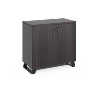 Mini Cabinet Office with 2 Swing Doors
