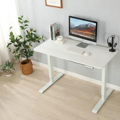 Elites Two Motors Standing Desk Modern Ergonomic Electric Lift Tables Sitting Standing Home Office Computer Height Adjustable Smart Table