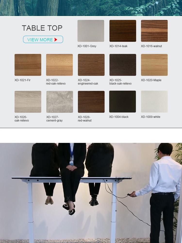 Modern Appearance Electric Lift Ergonomic Smart Sit Standing up Height Adjustable Office Desk