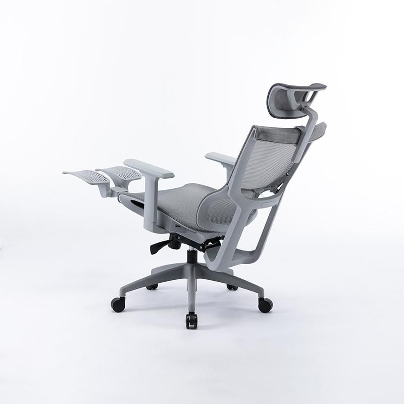 Li&Sung Ergonomic Computer Swivel Mesh Chair