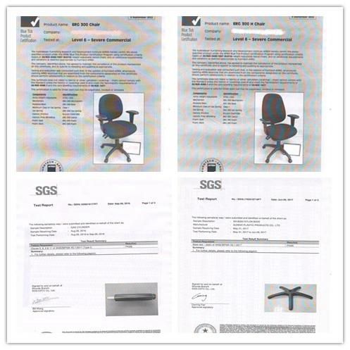 White Color Frame Simple Tilting Mechanism with Headrest BIFMA Standard Nylon Base High Back Office Mesh Back Chair