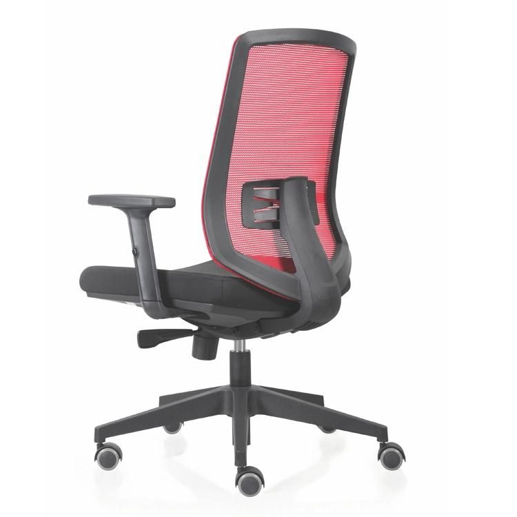 Modular Design Plastic Orthopedic Chair Computer Chair for Office Room